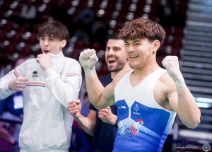 mansard anthony frasfe04924 simone ferraro ph